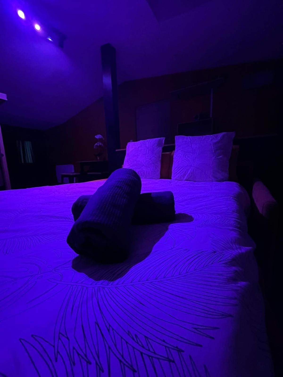 Suite Avec Sauna 36M² Νιόρ Εξωτερικό φωτογραφία